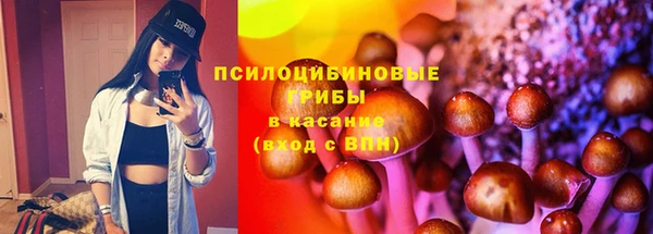 индика Балахна
