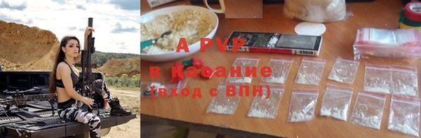 индика Балахна
