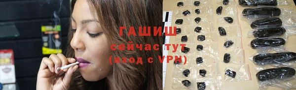 индика Балахна