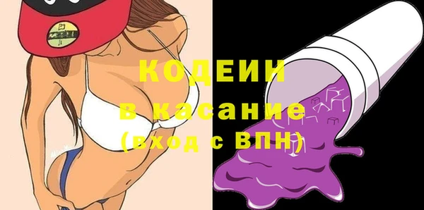 индика Балахна