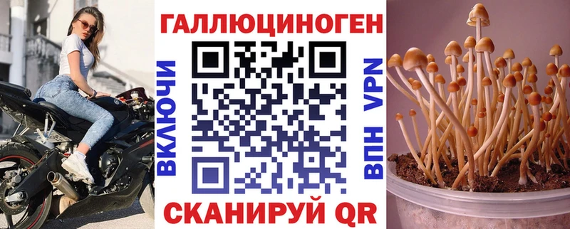 Псилоцибиновые грибы GOLDEN TEACHER  МЕГА зеркало  Омск  где купить наркоту 
